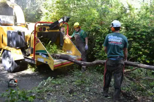 tree services Buffalo Center